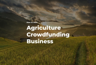 How to start an agriculture crowdfunding business
