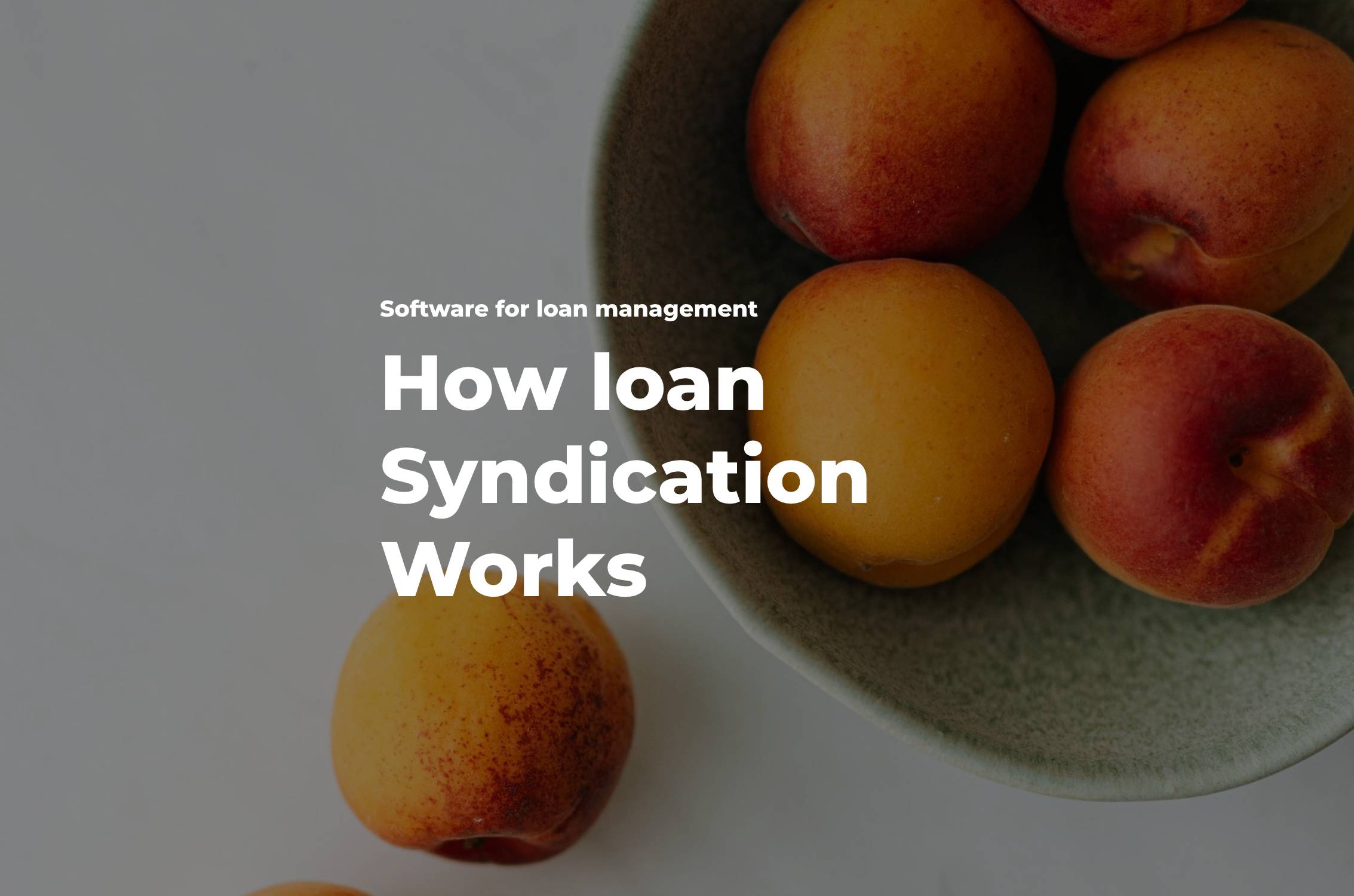 How Loan Syndication Works
