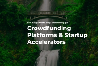 crowdfunding platforms and startup accelerators