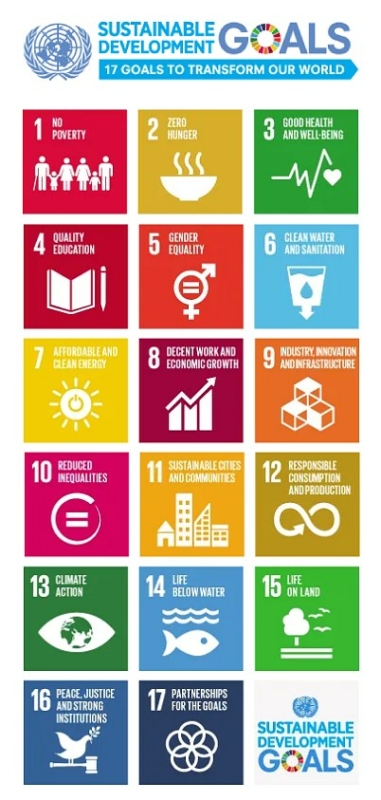 Sustainable-development-17-goals-1-381x800 How to Launch an Impact Investing Platform for Crowdfunding Projects