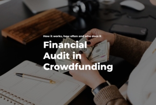 financial audit in crowdfunding for crowdfunding platforms