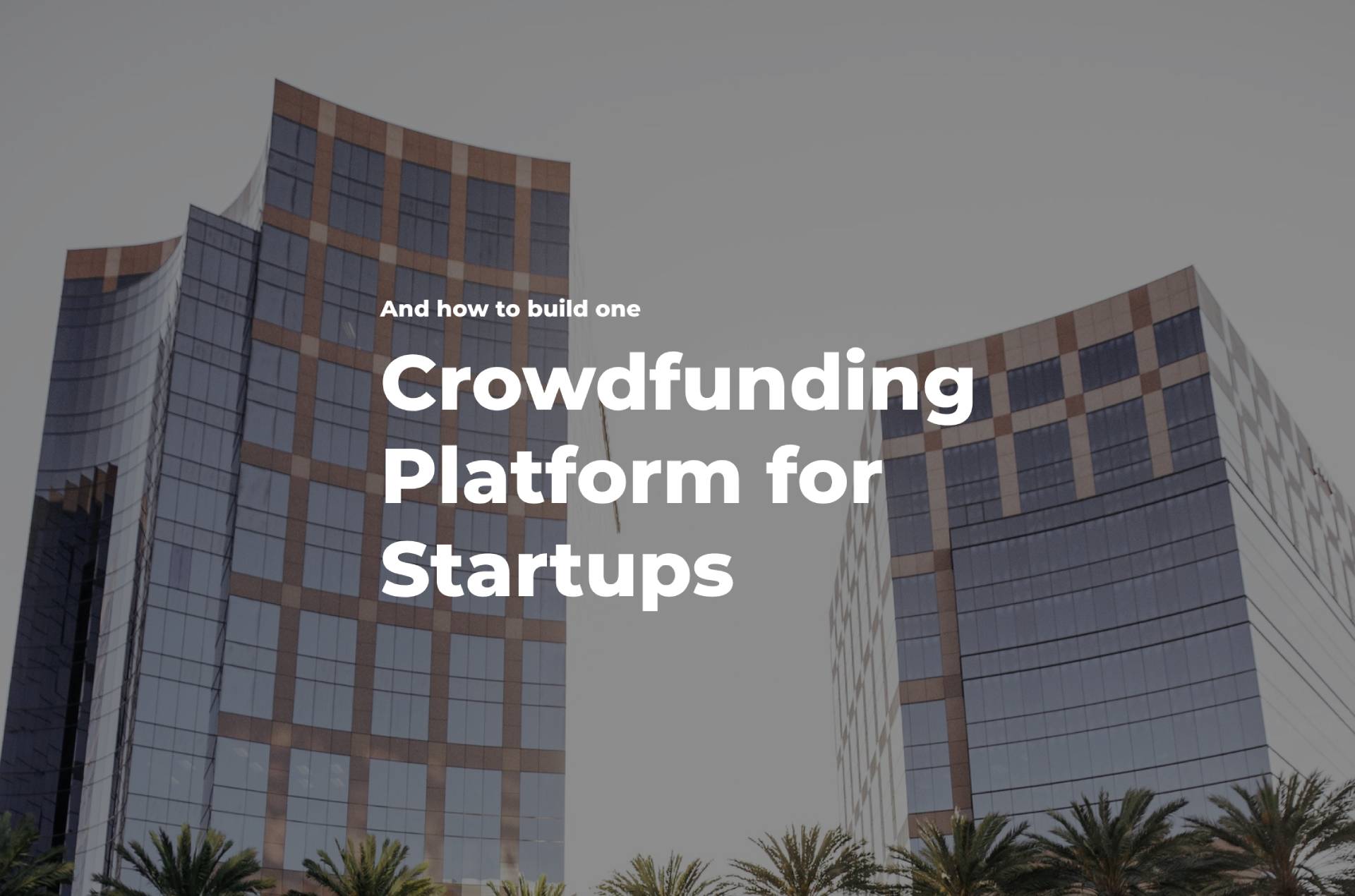 How To Build A Crowdfunding Platform For Startups