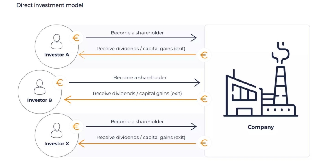 direct investment model