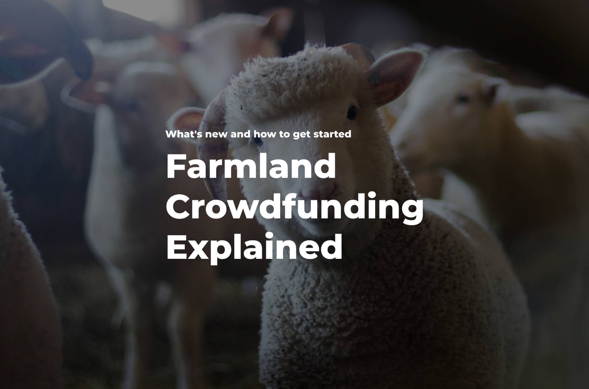 What's New in Farmland Crowdfunding?