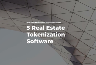 real estate asset tokenization software
