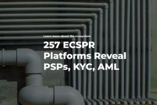 We Analyzed 257 ECSPR Platforms Plumbing Revealed How Lemonway Mangopay and Identity Verification Providers Power the Ecosystem