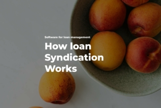 Syndicated Lending シンジケート how-loan-syndication-works-
