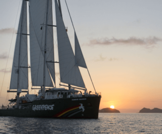 genervest case cover