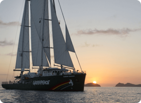 genervest case cover