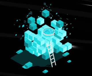 robinland-case-cover