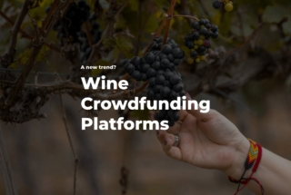 wine crowdfunding platforms - wine investing